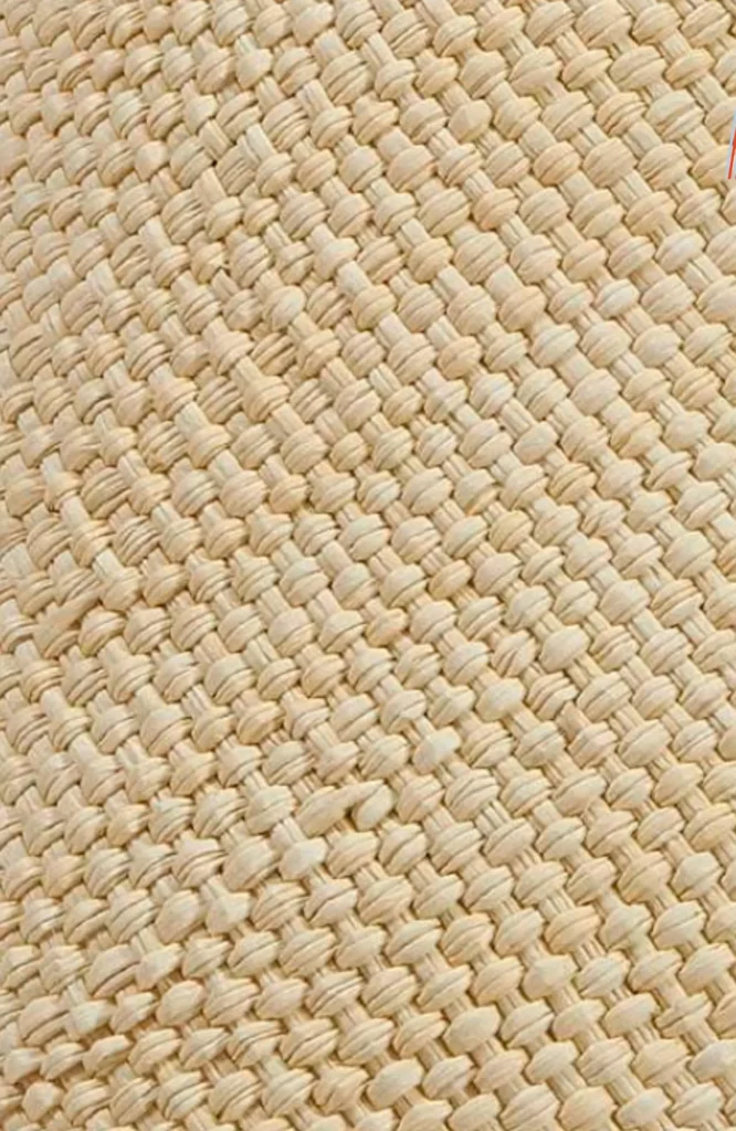 Iraca Palm