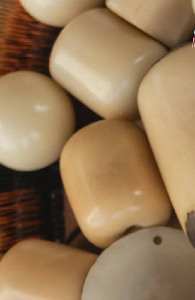 Tagua / Açaí